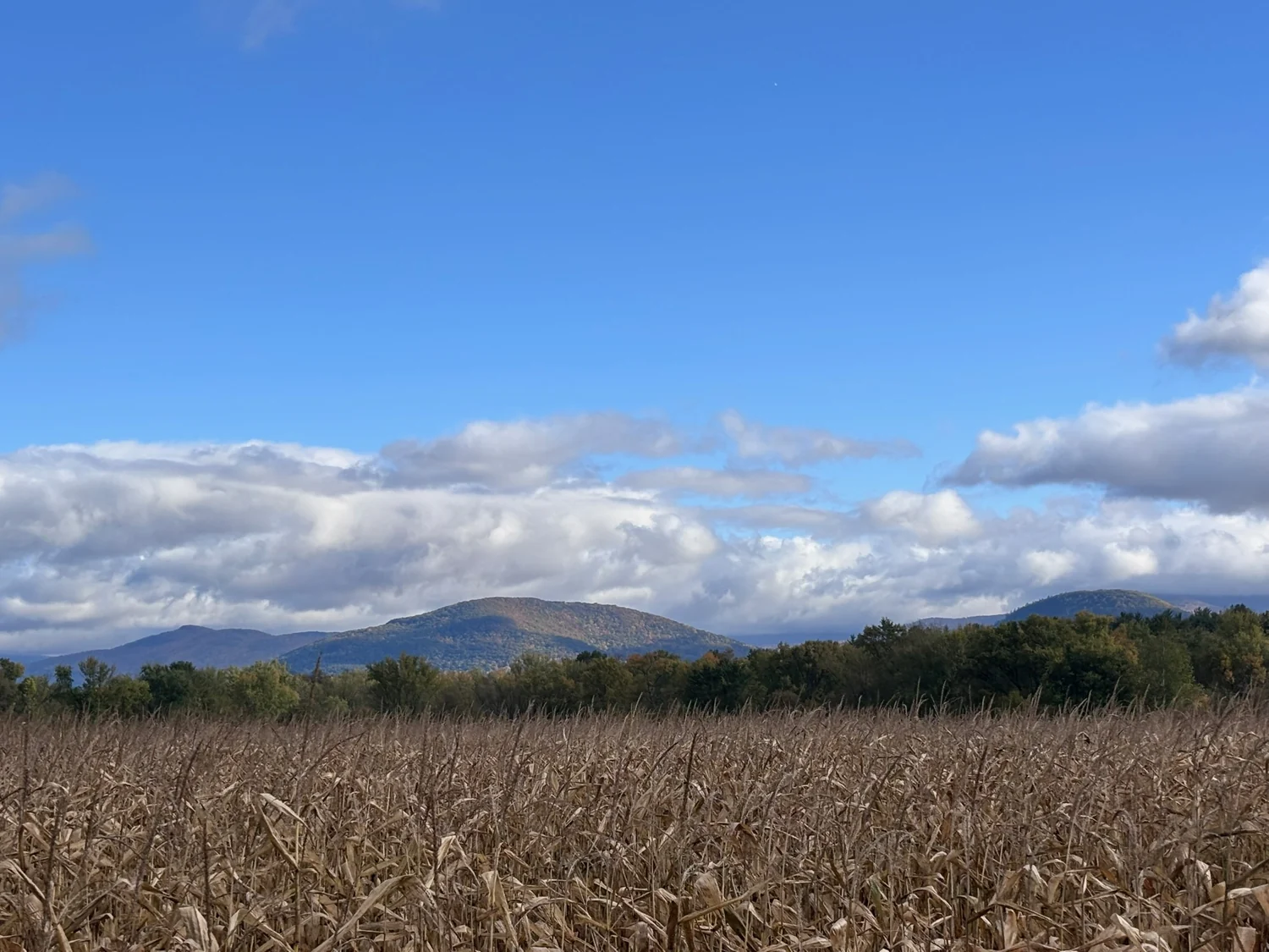Distant mountains beneath clouds and a blue sky.